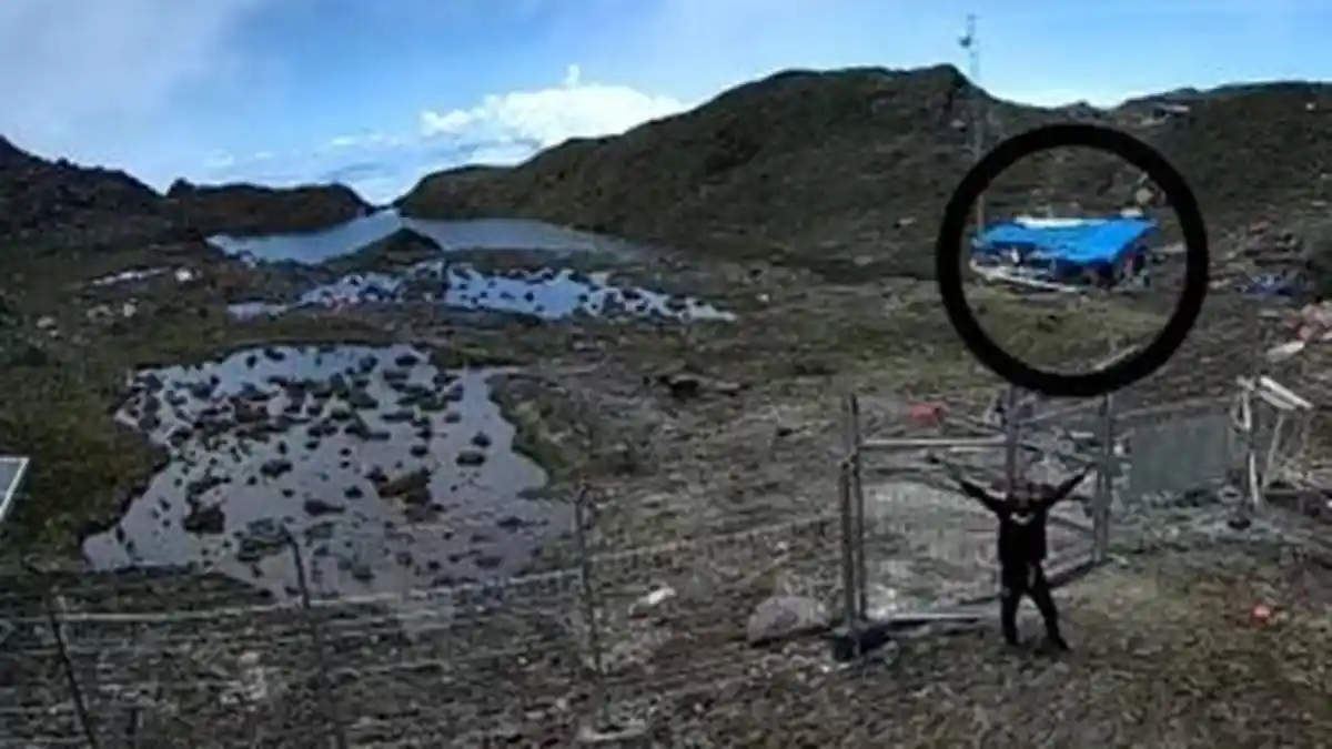 8 Pekerja Tower BTS PT PTT Tewas Ditembak KKB Papua di Kabupaten Puncak