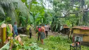 Sebatang-pohon-tumbang-hingga-menimpa-dapur-rumah-milik-Zulkifli-55.jpg