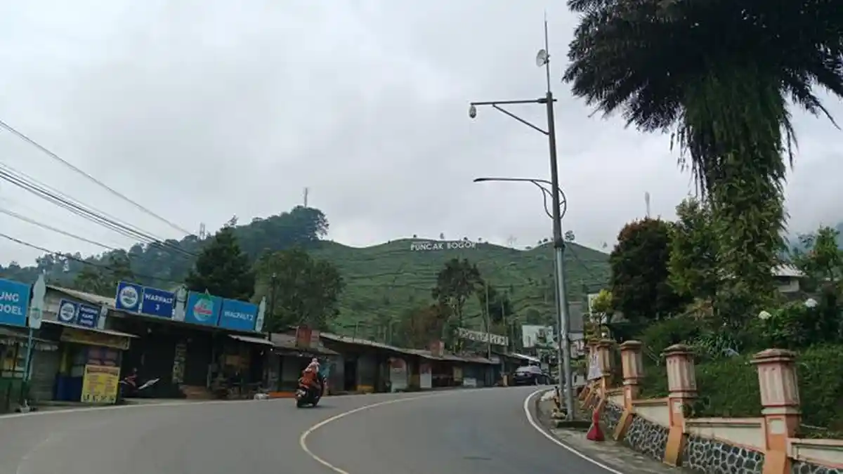 BMKG Citeko: Kawasan Puncak Bogor Hari Ini Cerah, Siang hingga Malam Hari Berawan
