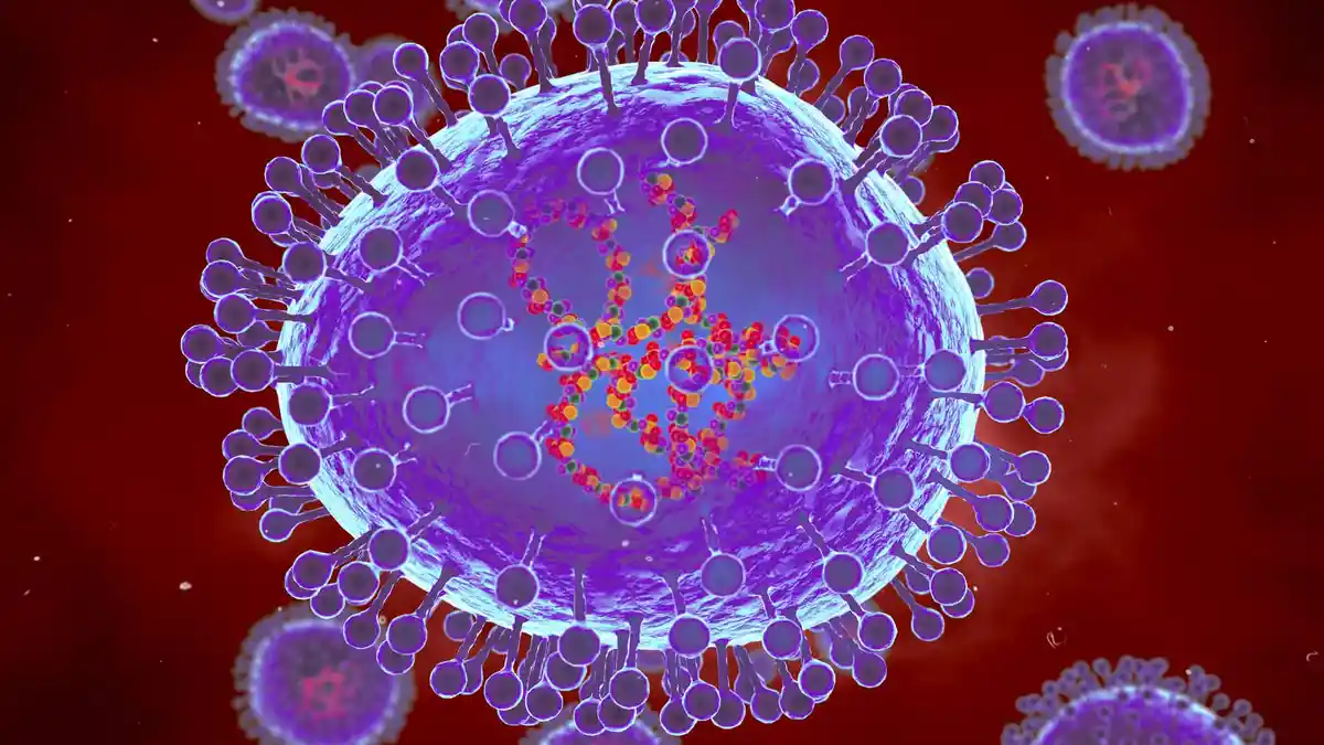 Kemenkes Pastikan Virus HMPV Belum Ada di Indonesia