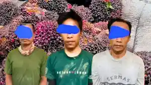 20260301-tiga-maling-sawit-antar-kabupaten-ditangkap-di-Sarolangun.jpg