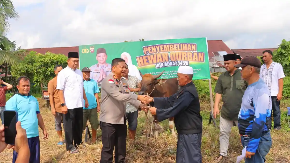 Hari Raya Idul Adha, Kapolres Sintang Serahkan 5 Ekor Sapi Qurban
