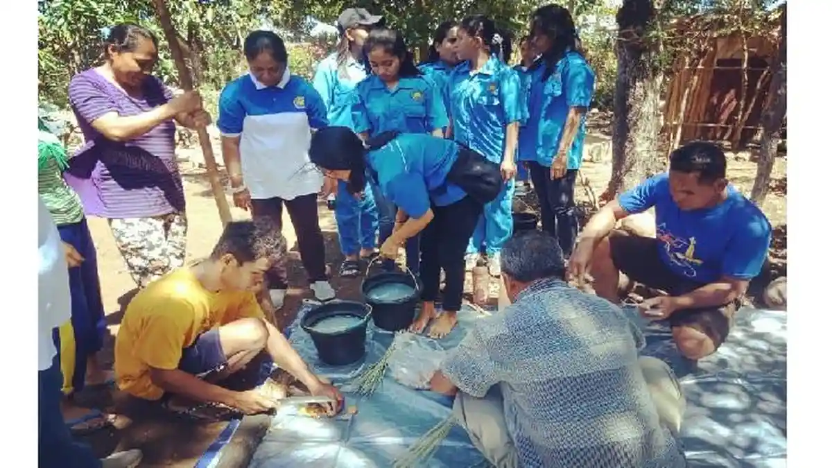 Prodi TPT Politani Kupang Bantu Poktan Tani Tate'Un Monit Naioni Olah Konsentrat Bagi Ternak Sapi