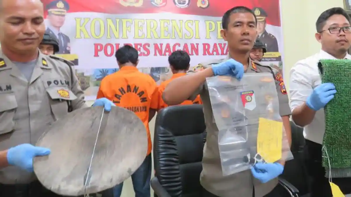 Dua Penambang Emas Ilegal di Nagan Raya Jadi Tersangka