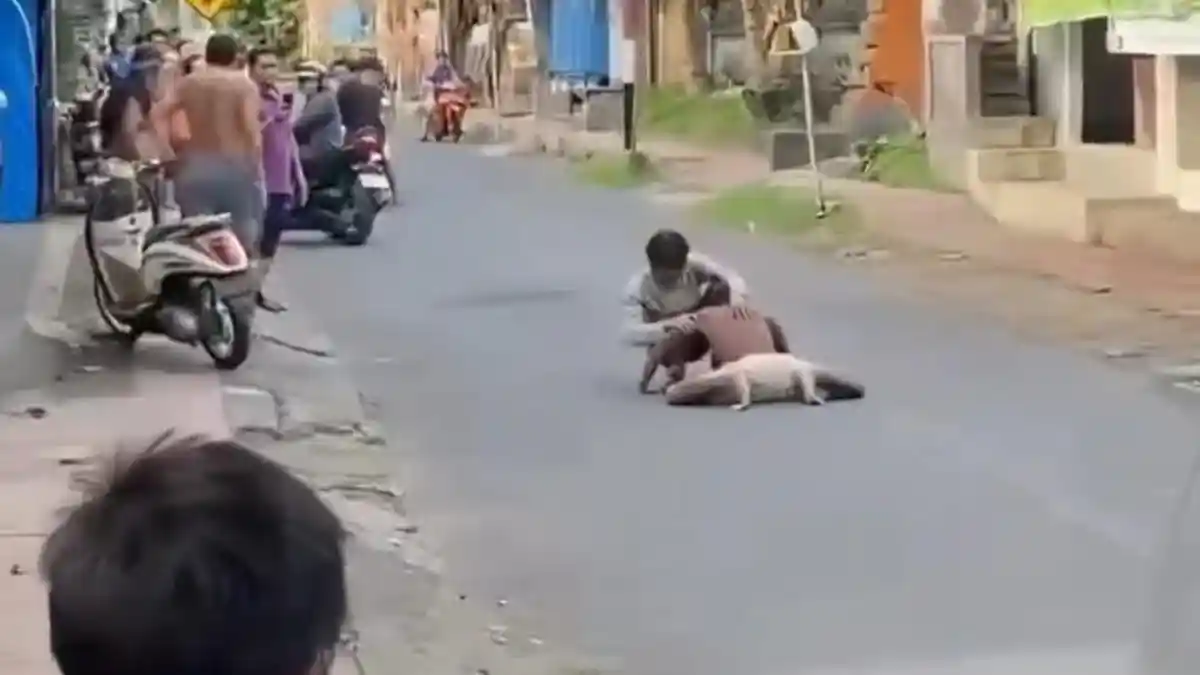 Viral Video Buruh Bangunan Merangkak di Jalan Raya Dawan Kaler Klungkung, Mulut Berbau Alkohol
