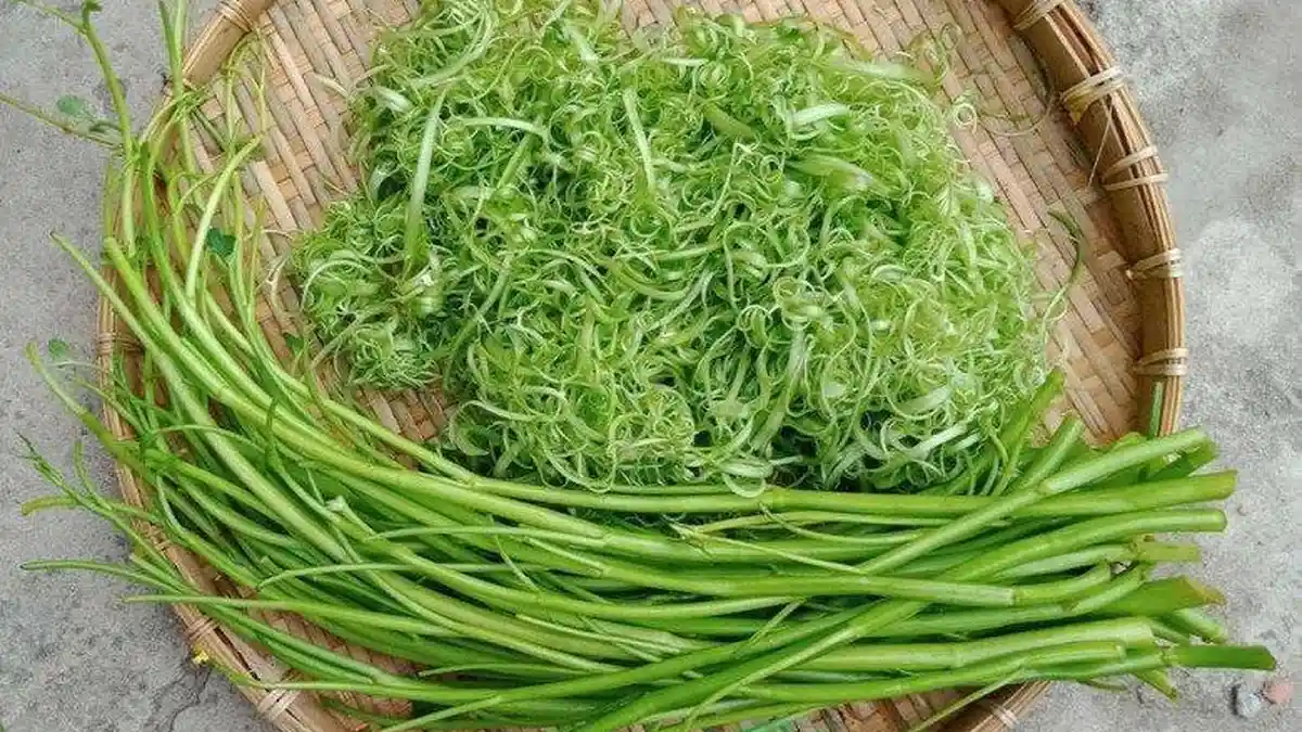 Seluruh Keluarga Jatuh Sakit Setelah Makan Kangkung Seperti Ini, Banyak Orang Tidak Mengetahuinya