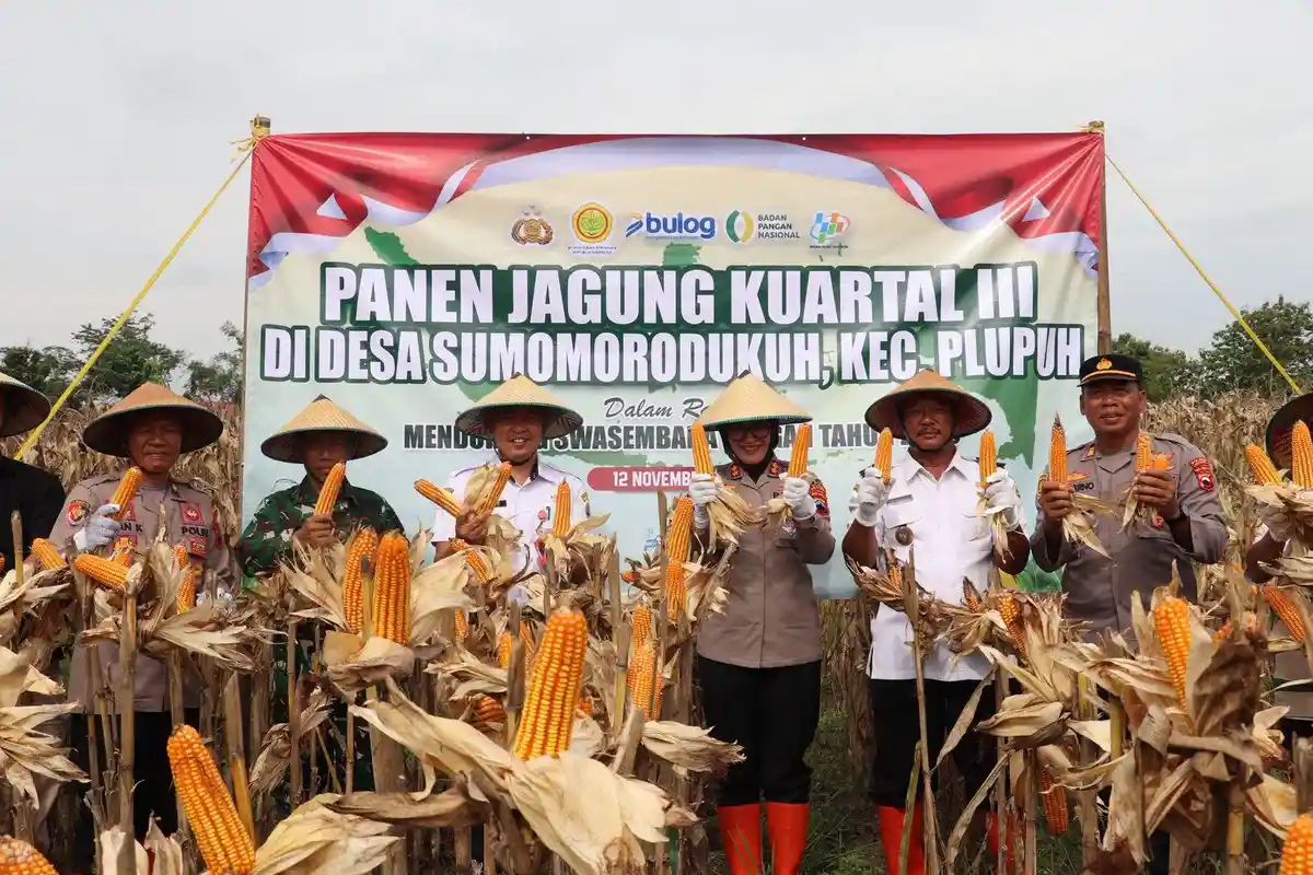 Kapolres Sragen Pimpin Panen Raya Jagung Kuartal III di Somomorodukuh
