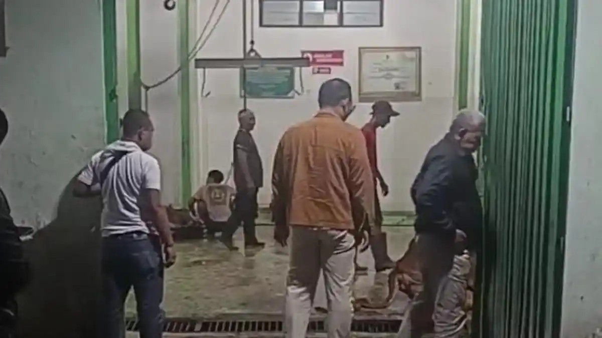 Tindaklanjuti Dugaan Pungli Sampai Rp 500 Ribu per Sapi, DPRD Situbondo Labrak RPH Sumberkolak