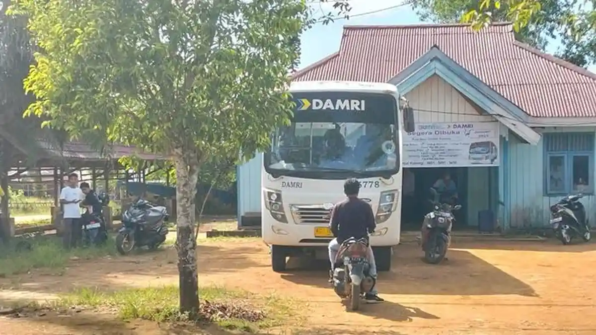 Info Bus Damri Hari Ini Tana Tidung-Malinau: Jadwal hingga Harga Tiket