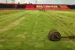 rumput-di-stadion-dipta-gianyar-digulung-seperti-karpet-alami-yang-siap-dibawa-ke-pantai.jpg