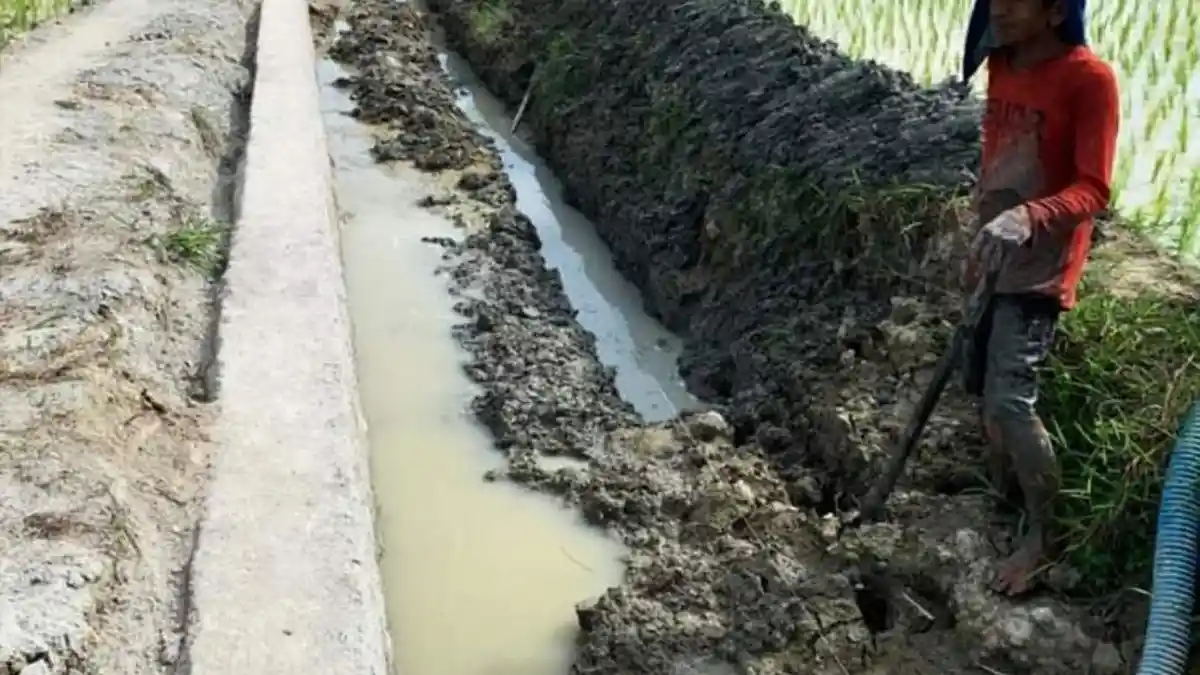 82 Km Irigasi Aliri 1.920 Hektare Sawah, Ditargetkan Selesai Januari 2024