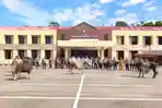 Idul-Adha-di-Bolsel.jpg