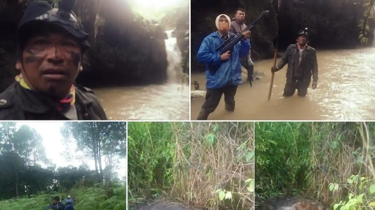 HEBOH Muncul Makhluk Misterius Pengisap Darah, Bisa Secepat Kilat Menghilang, Ternak Warga Bermatian