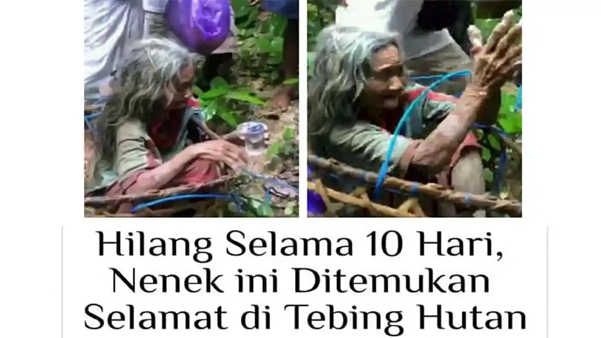 Nenek Cukri Ditemukan di Dasar Jurang Setelah 10 Hari Hilang, Segar Bugar Walau Tak Makan dan Minum