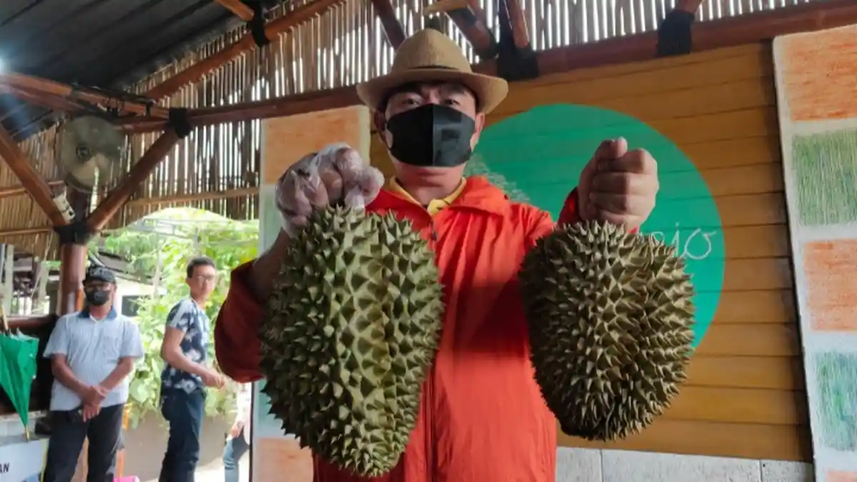 Kafe Abundacio, Bisnis Baru Mantan Wali Kota Malang, Abah Anton
