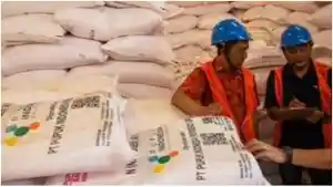 PUPUK-SUBSIDI-PT-Pupuk-Indonesia-saat-mengecek.jpg