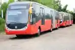 Bus Baru TransJakarta