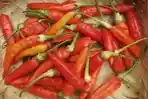 Cabai-rawit-merah-seluma.jpg