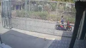 Rekaman-CCTV-pencurian-kambing-viral-di-media-sosial.jpg
