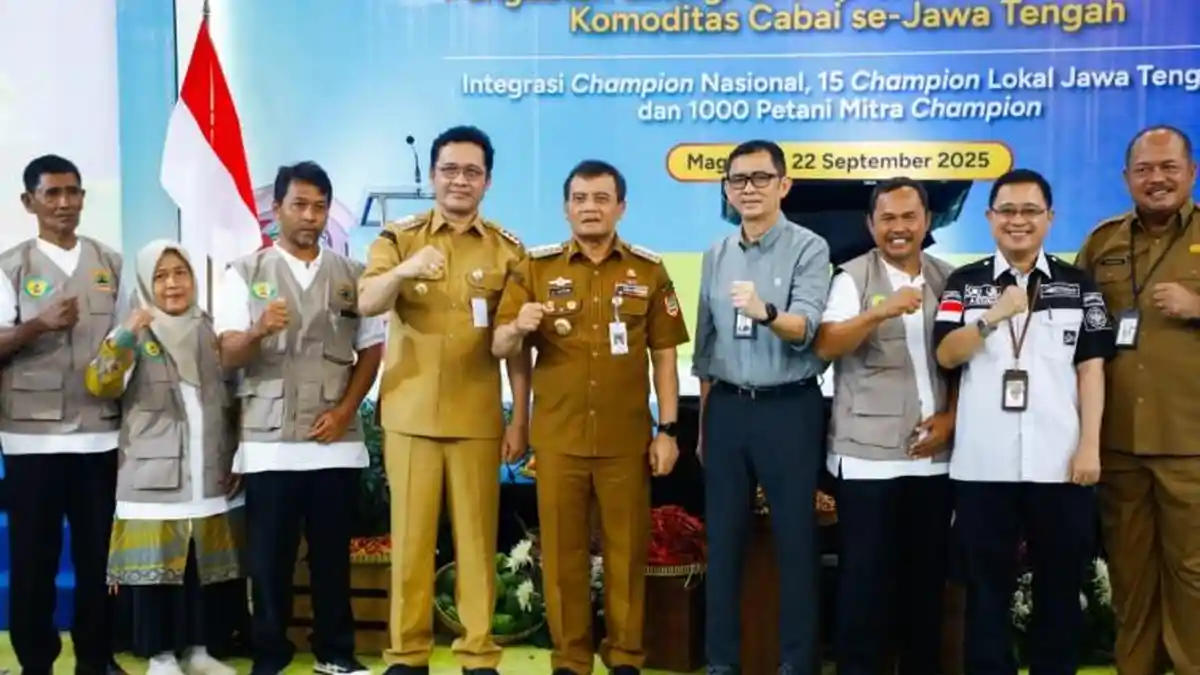 Harga Cabai di Jateng Masih Terkandali, Gubernur Ahmad Luthfi Apresiasi Para Petani