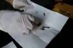 Penangkapan Klinik Aborsi