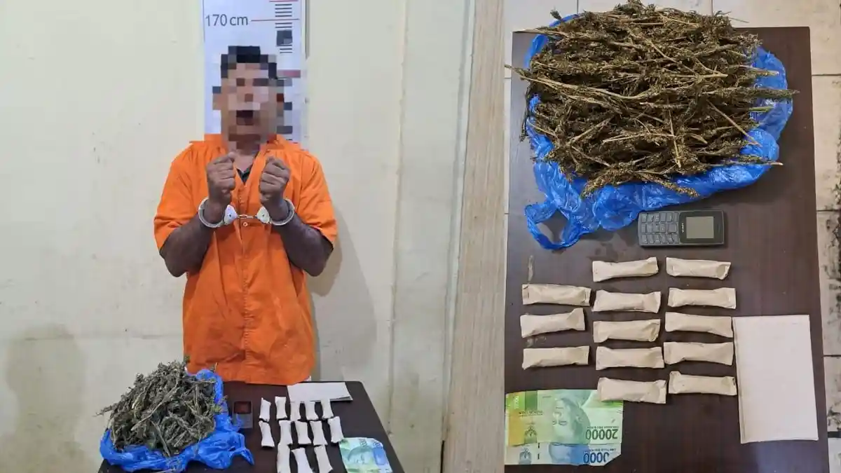Penangkapan Pelaku Narkoba di Langkat: Sat Res Narkoba Amankan Pria dengan 500 Gram Ganja Kering
