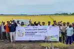 Program-Agrosolution-Solusi-Tepat-Tingkatkan-Hasil-Tani.jpg