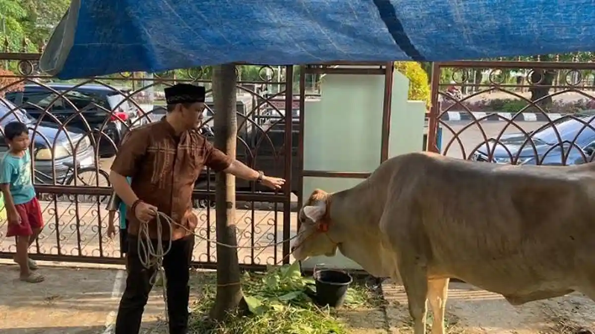 Pemkot Pekalongan Serahkan Hewan Qurban 9 Ekor Sapi dan 16 Ekor Kambing