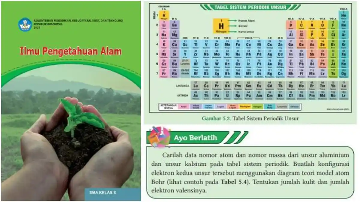 Kunci Jawaban IPA Kelas 10 Kurikulum Merdeka Halaman 115: Konfigurasi Elektron Model Atom Bohr
