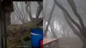 Viral-sebuah-warung-di-Tangkuban-Parahu.jpg