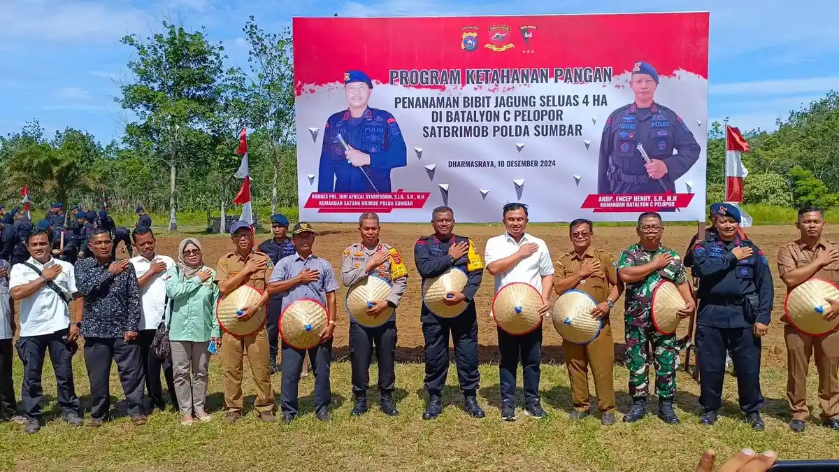 Satbrimob Polda Sumbar Tanam Jagung 4 Hektare di Dharmasraya, Dukung Program Ketahanan Pangan