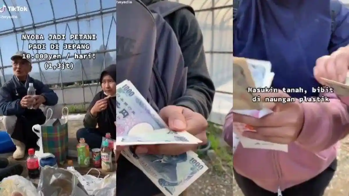 Cerita Mahasiswi Indonesia Kerja Jadi Petani di Jepang, Digaji Rp 1,3 Juta Sehari