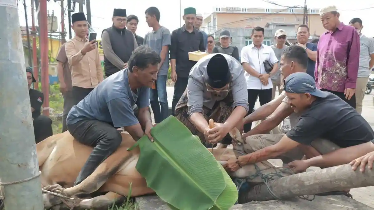 Bupati Tanjabbar Pimpin Penyembelihan Hewan Kurban TP-PKK