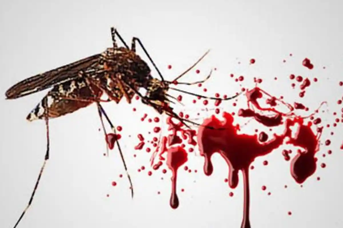 Warga Sampang Diimbau Waspada Penyakit Berbahaya saat Pancaroba, Lakukan Hal ini untuk Pencegahannya