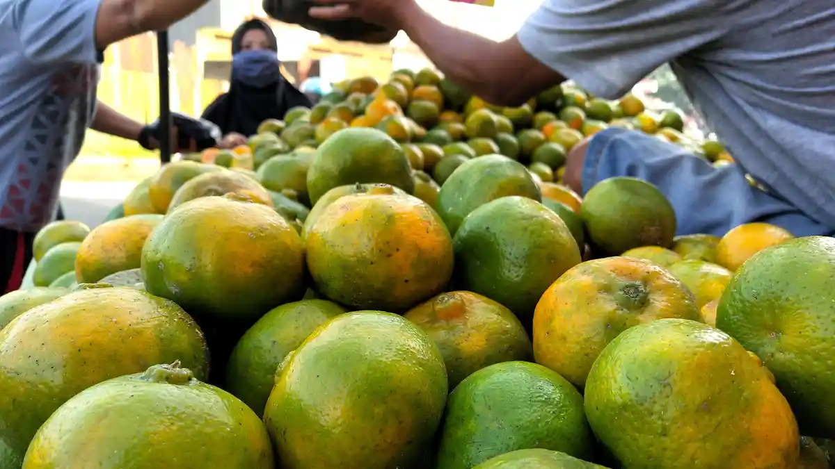 Akademisi UI Minta Masyarakat Kampanyekan Buah Lokal