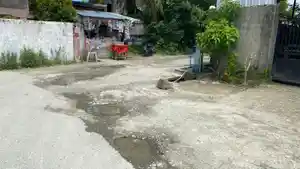 Jalan-waiheru-1.jpg