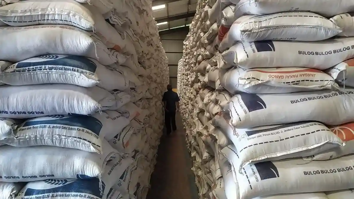 Stok Beras Melimpah, Mentan Pastikan Kesiapan Hadapi El Nino - Tribunjateng.com