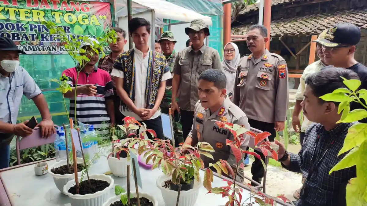 Blusukan Ke Desa Sidorejo Blora Bersama Samin Institute, Fahrurozi Tinjau Pertanian Organik