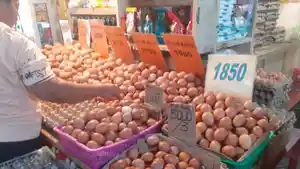 Harga-sejumlah-bapok-di-Pasar-Bersehati-Manado-terpantau-mengalami-penurunan.jpg