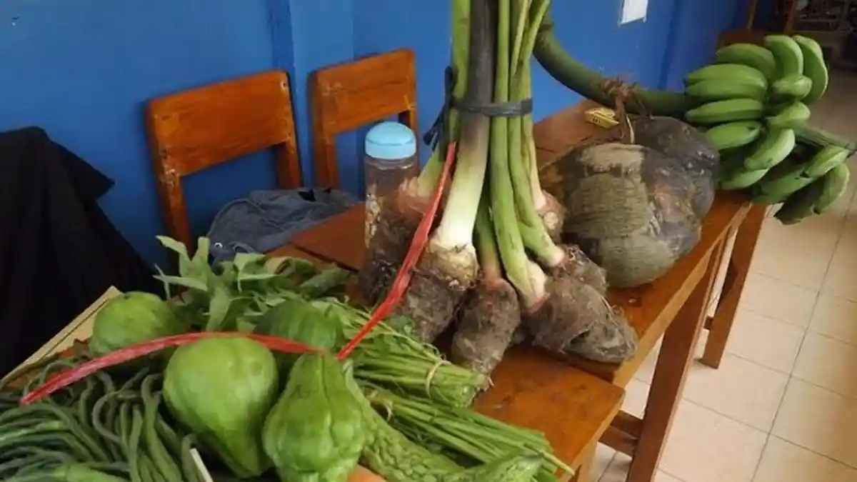 Siswa di Sekolah Ini Bayar dengan Hasil Panen Bumi Seadanya