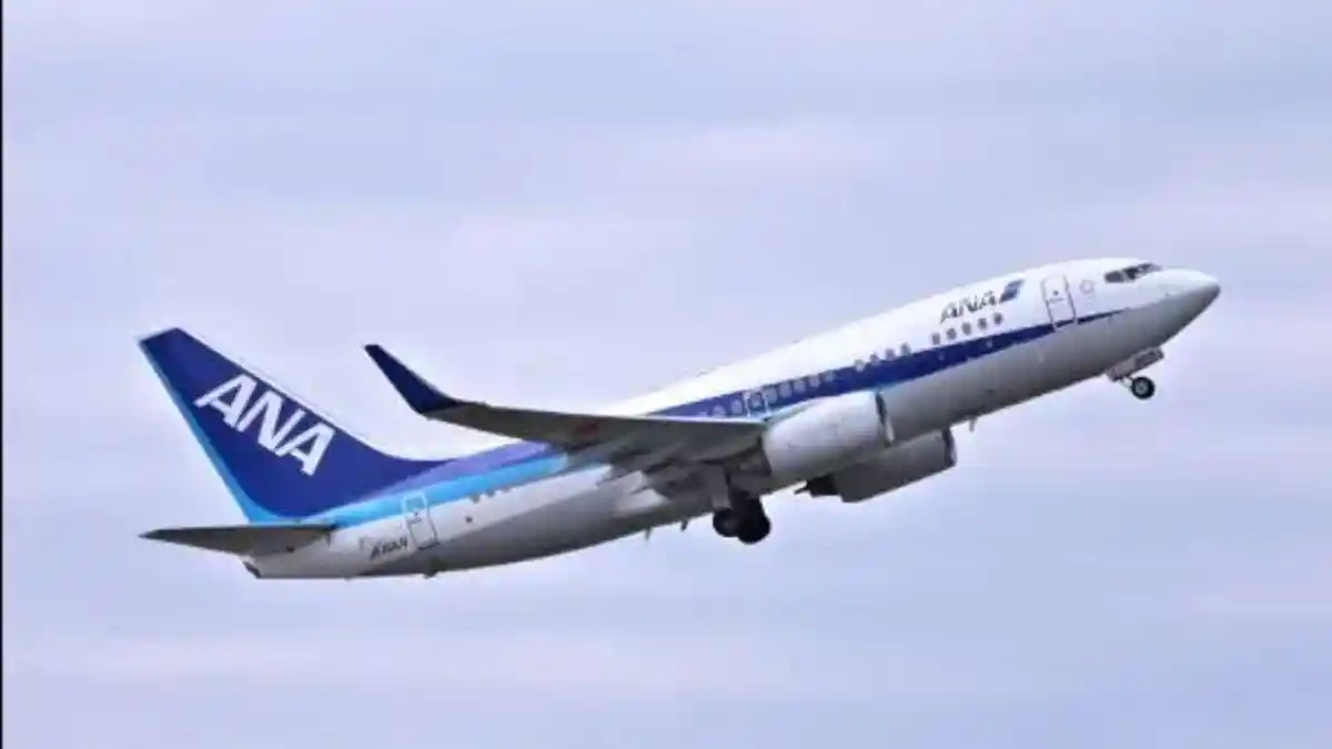 Pesawat All Nippon Airways Terpaksa Putar Balik Arah setelah Jendela Kokpit Mengalami Retak di Udara