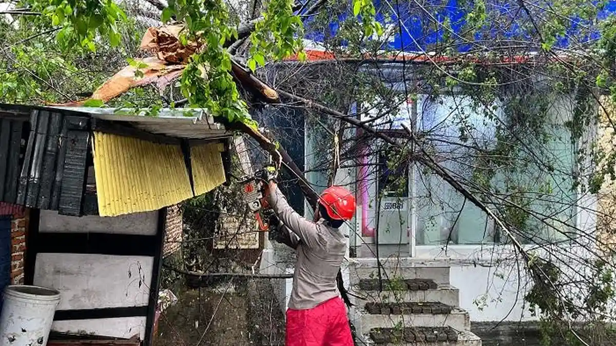 Pohon Tumbang Timpa ATM depan Polda Sulsel