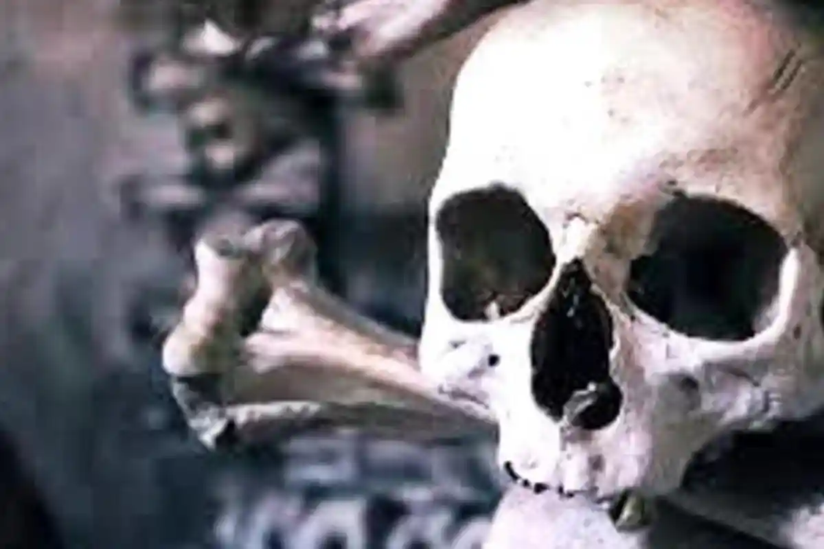 Pengusaha Ini Dapat Kiriman Paket Lewat Ojol Berupa Tengkorak Manusia Berceceran Cairan Mirip Darah