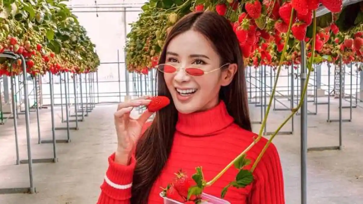 Mengintip Isi Rumah Jamie Chua, Lemari Bajunya Seluas Apartemen