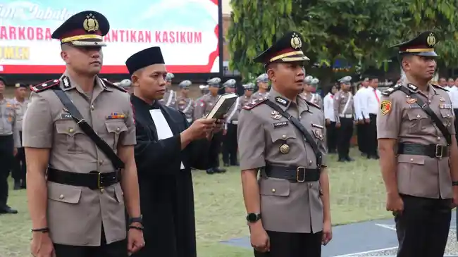 Tribun