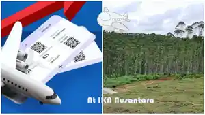 20240310_Harga-Tiket-Pesawat-Mahal-ke-IKN.jpg