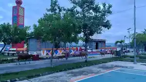 Puluhan-ekor-sapi-tampak-berkeliaran-di-sekitar-Anjungan-Pasangkayu.jpg
