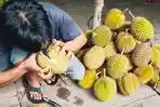 Pedagang-Durian-di-Jalintim-Celikah.jpg