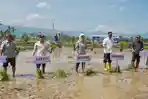 Pacu-Produksi-Nasional-Kementan-Tanam-Padi-Serempak-di-25-Provinsi.jpg