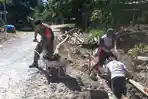 babinsa-koramil-427-3blambangan-dan-masyarakat-kampung-segara-mider-gelar-gotong-royong.jpg